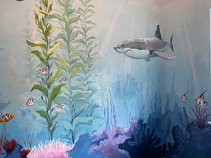 Shark mural